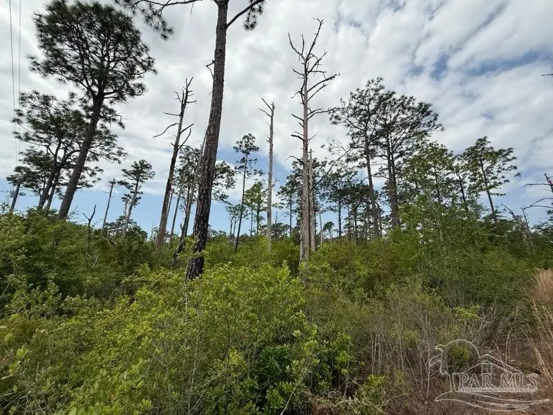 6589-1 Aegean Dr, Milton, FL 32583 - #3
