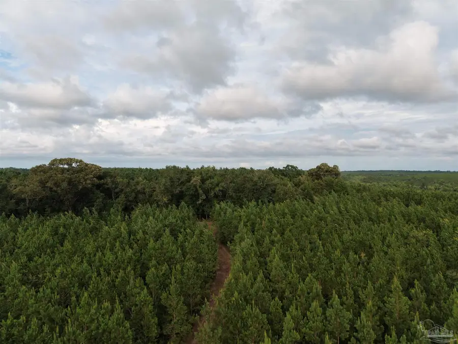000 Watson Rd, Chumuckla, FL 32571 - #3