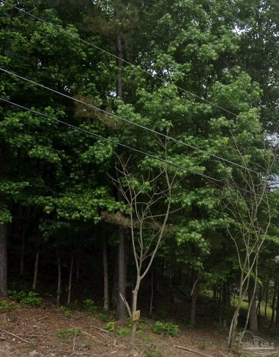 142 Water Oak St, Trussville, AL 35173 - #2