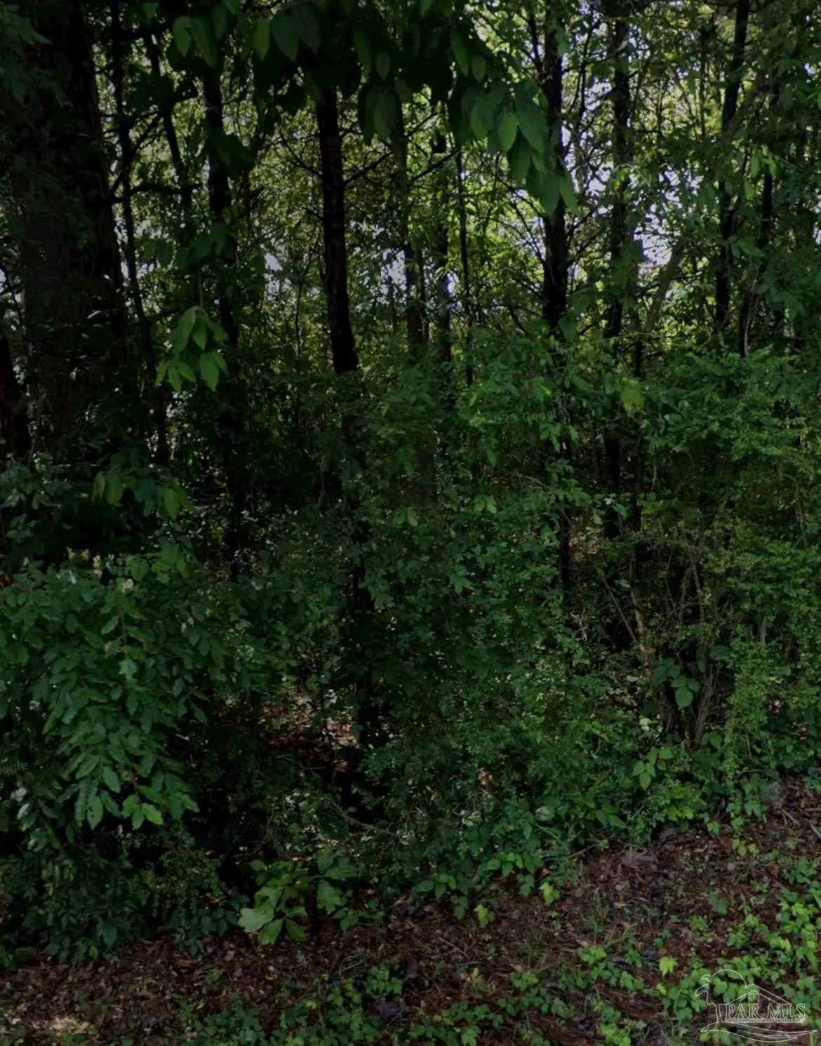 645 Pineview Rd, Trussville, AL 35173 - #1