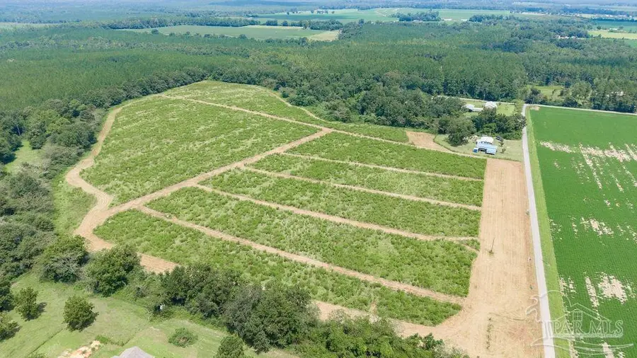 Lot 6 Whistler Ln, Jay, FL 32565 - #3