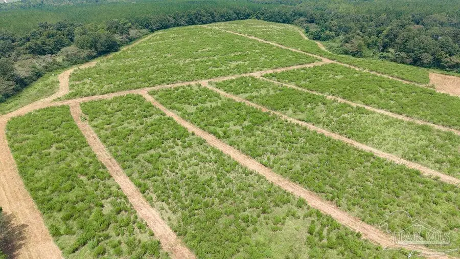 Lot 1 Whistler Ln, Jay, FL 32565 - #3
