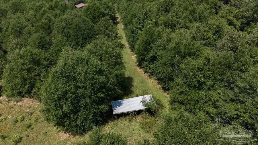 5.5 Acres Annie Penton Rd, Jay, FL 32565 - #3