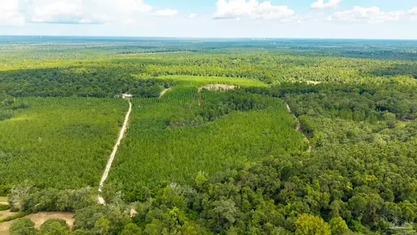 4920 Richardson Rd, Molino, FL 32577