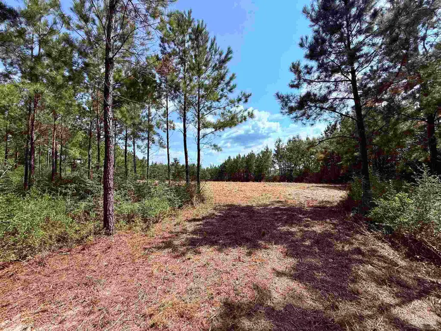 7282 Buffalo Ridge Rd, Pace, FL 32571 - #2