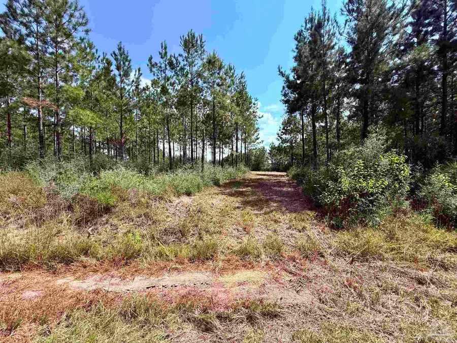 7282 Buffalo Ridge Rd, Pace, FL 32571 - #3