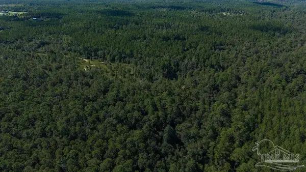 18.69 ACRES Native Creek Rd, Pace, FL 32571