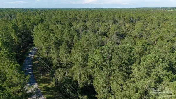 3.54 Acres Oser Rd, Pace, FL 32570