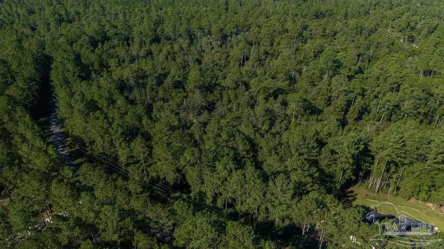 3.54 Acres Oser Rd, Pace, FL 32570 - #2
