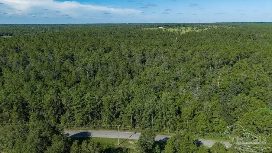 3.13 Acres Oser Rd, Milton, FL 32570 - #2