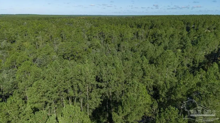 3.13 Acres Oser Rd, Milton, FL 32570 - #3