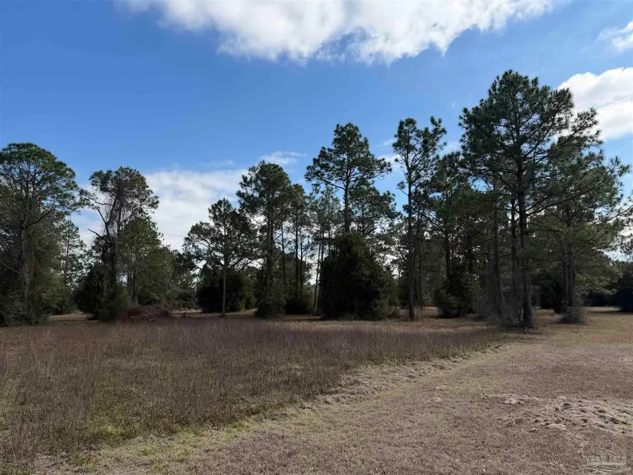 31849 Randolf Ave, Lillian, AL 36549 - #2