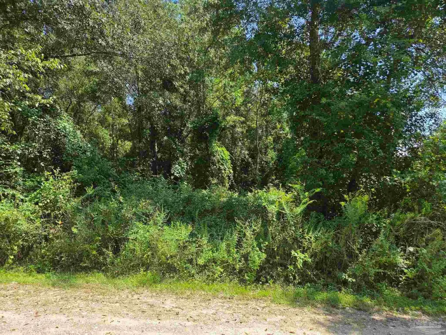 900 Forehand Ln, Cantonment, FL 32533 - #3