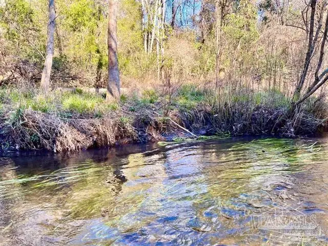 Lot 11 Naturewalk Dr, Jay, FL 32565 - #1