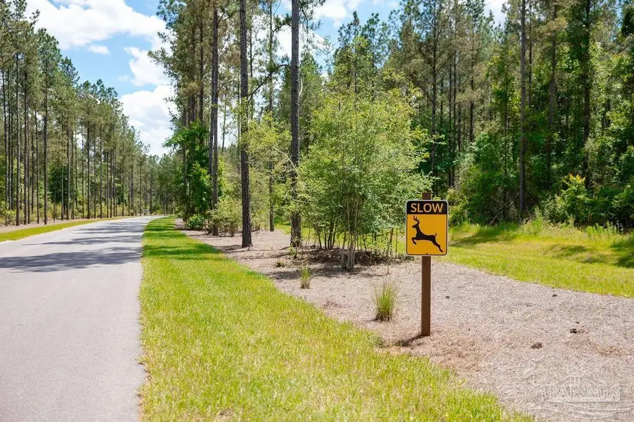 Lot 11 Naturewalk Dr, Jay, FL 32565 - #2