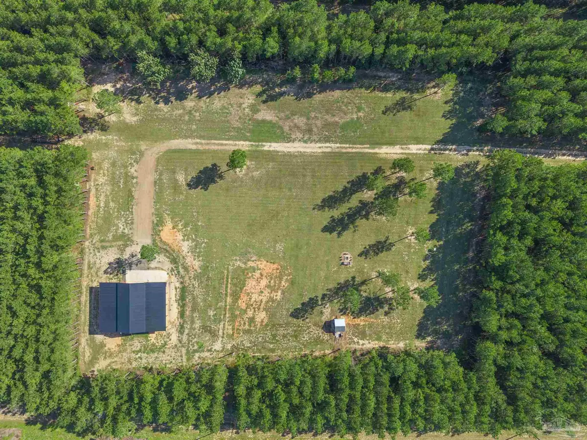 2742 Bud Diamond Rd, Jay, FL 32565 - #1