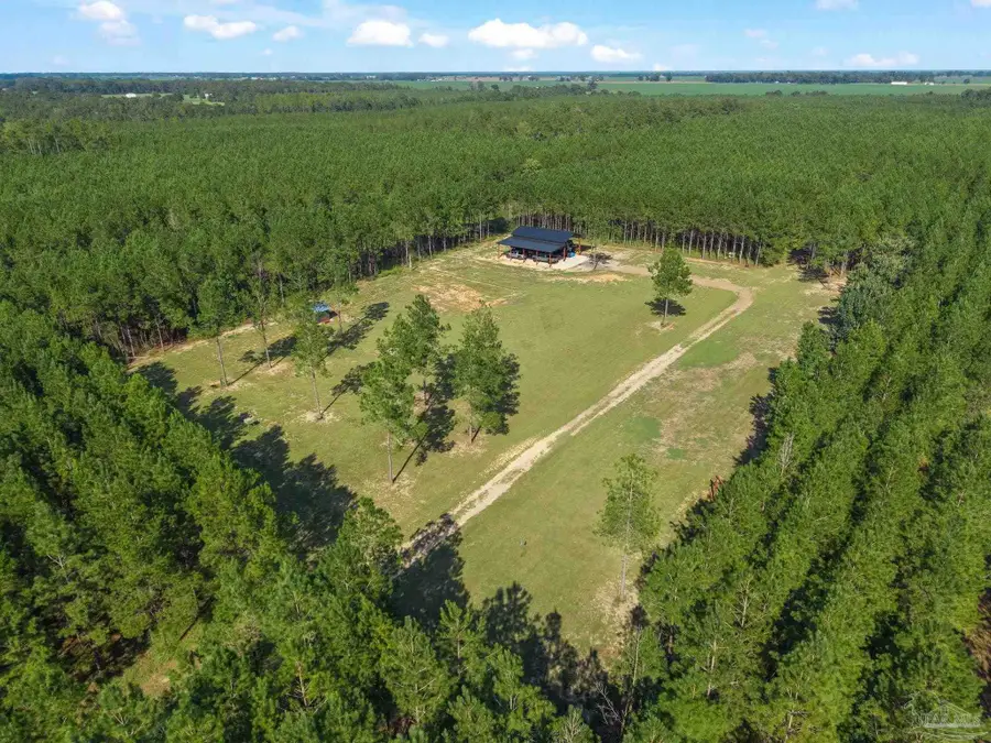 2742 Bud Diamond Rd, Jay, FL 32565 - #3