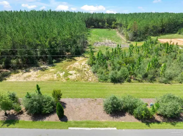 63 Naturewalk Dr, Milton, FL 32571