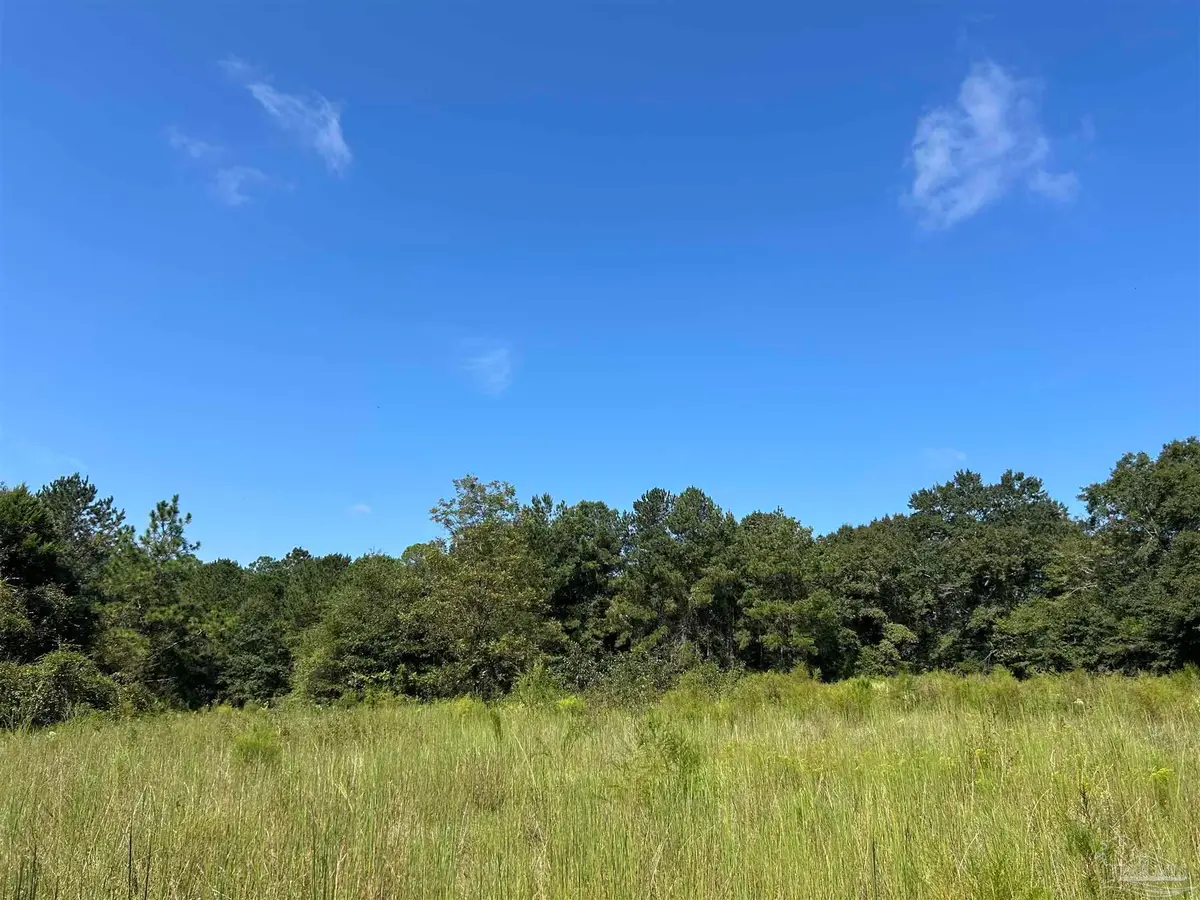 4949 Dobson Rd, Jay, FL 32565 - #1