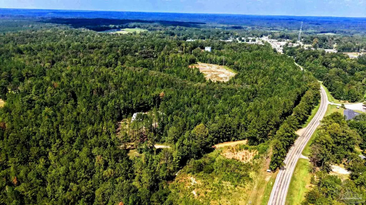 0 Pheasant Rd, Gilbertown, AL 36908 - #1