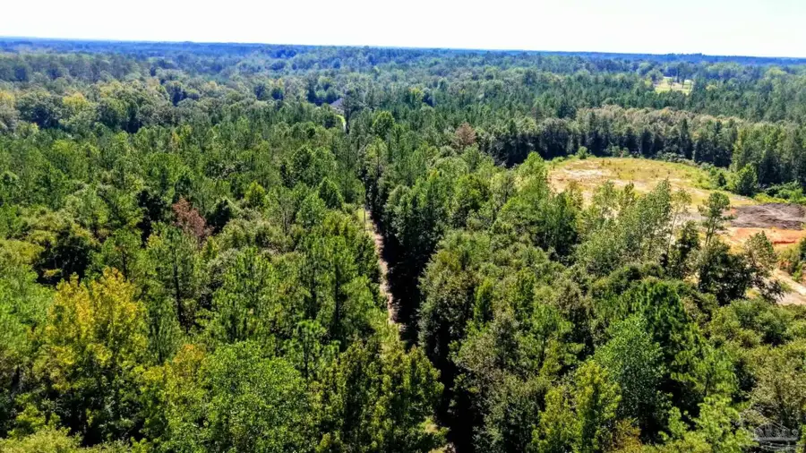 0 Pheasant Rd, Gilbertown, AL 36908 - #2