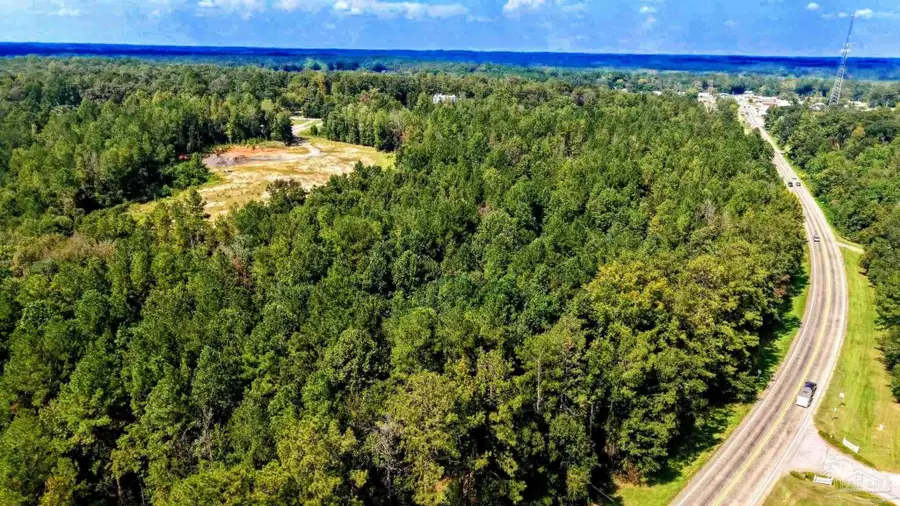 0 Pheasant Rd, Gilbertown, AL 36908 - #3
