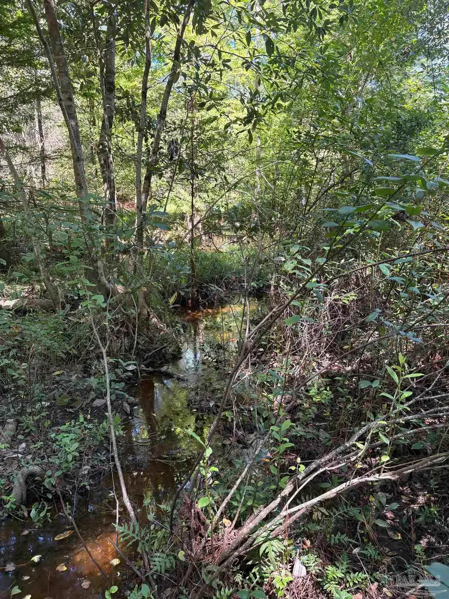 00 Pea Ridge Connector Rd, Pace, FL 32571 - #3