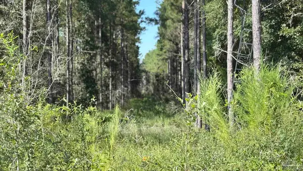 Lot 72 Posie Forest Rd, Allentown, FL 32570