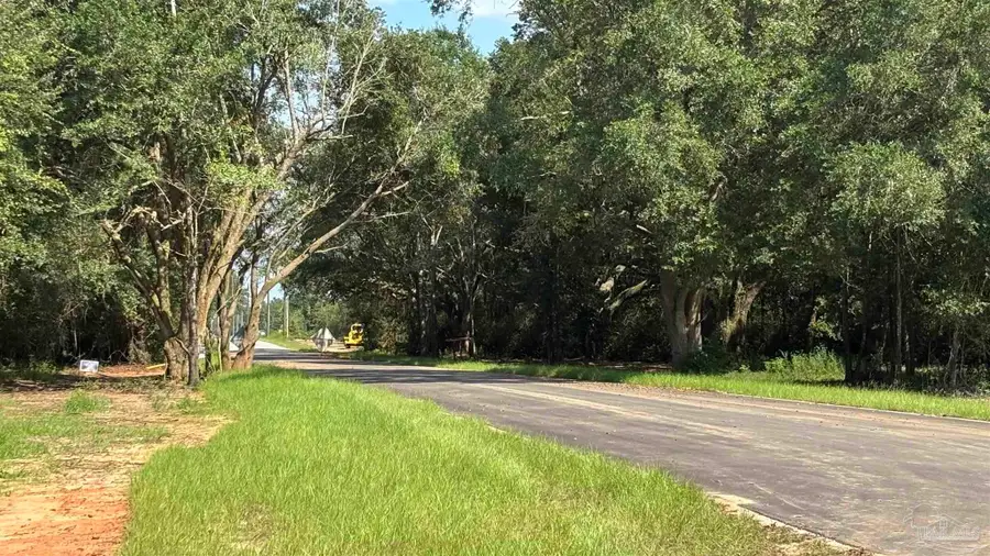 Lot 72 Posie Forest Rd, Allentown, FL 32570 - #2