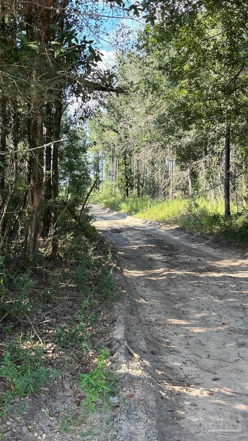 Lot 72 Posie Forest Rd, Allentown, FL 32570 - #3