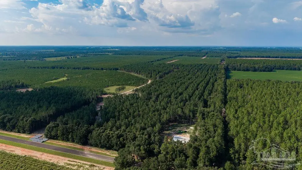 LOT 93 Posie Forest Rd, Milton, FL 32570 - #1