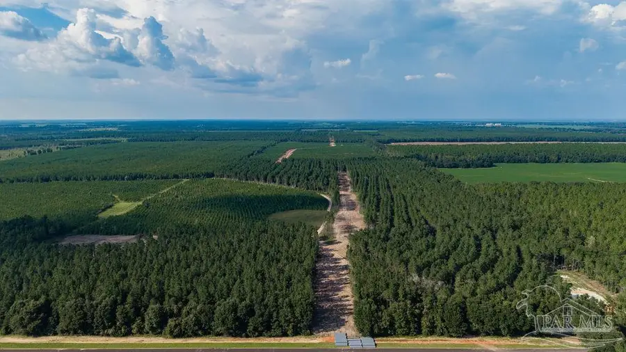 LOT 93 Posie Forest Rd, Milton, FL 32570 - #2