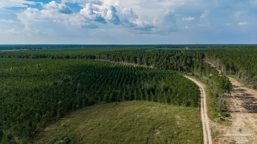 LOT 93 Posie Forest Rd, Milton, FL 32570 - #3