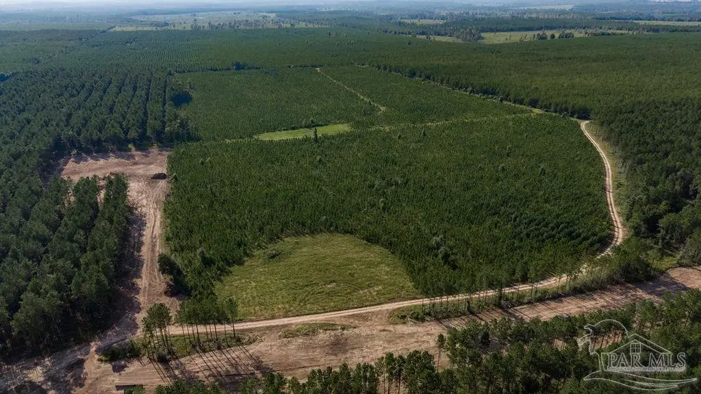 Lot 90 Posie Forest Rd, Milton, FL 32570 - #1