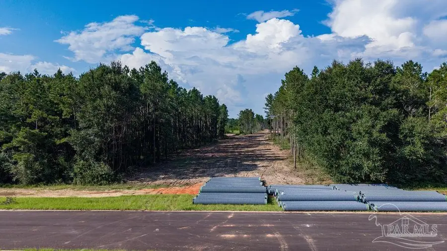 Lot 90 Posie Forest Rd, Milton, FL 32570 - #2