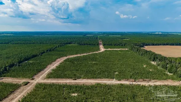 LOT 87 Posie Forest Rd, Milton, FL 32570