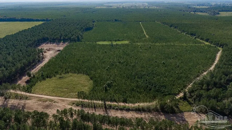 LOT 87 Posie Forest Rd, Milton, FL 32570 - #2