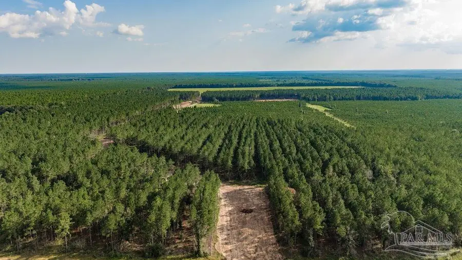 LOT 87 Posie Forest Rd, Milton, FL 32570 - #3