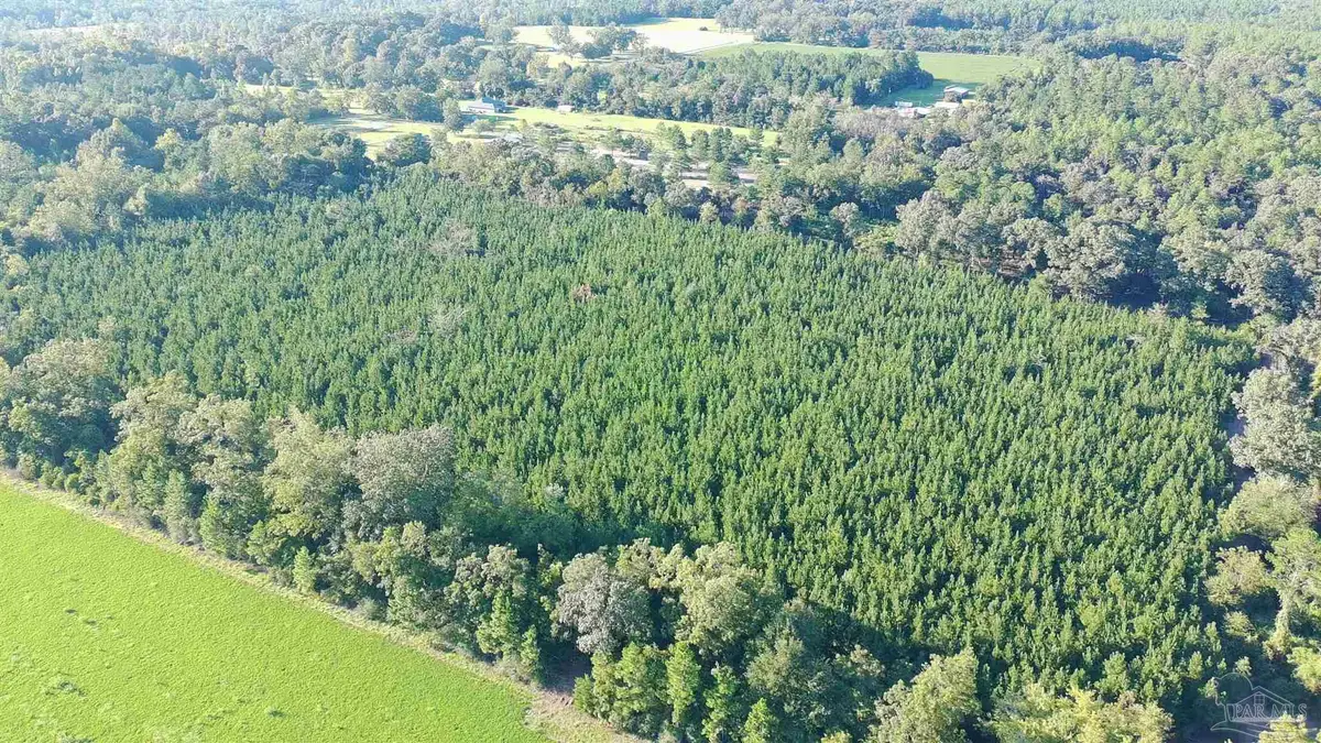 20 Acres Lewis Rd, Milton, FL 32570 - #1