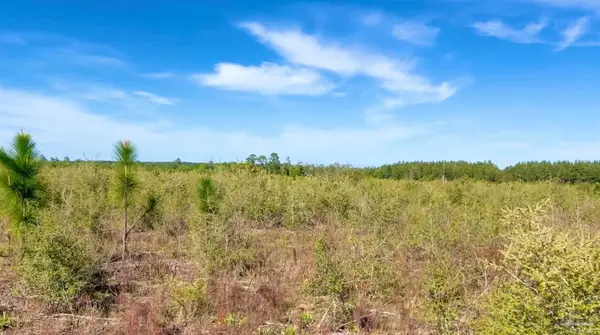 Lot 55 South Timber Ln, Jay, FL 32565