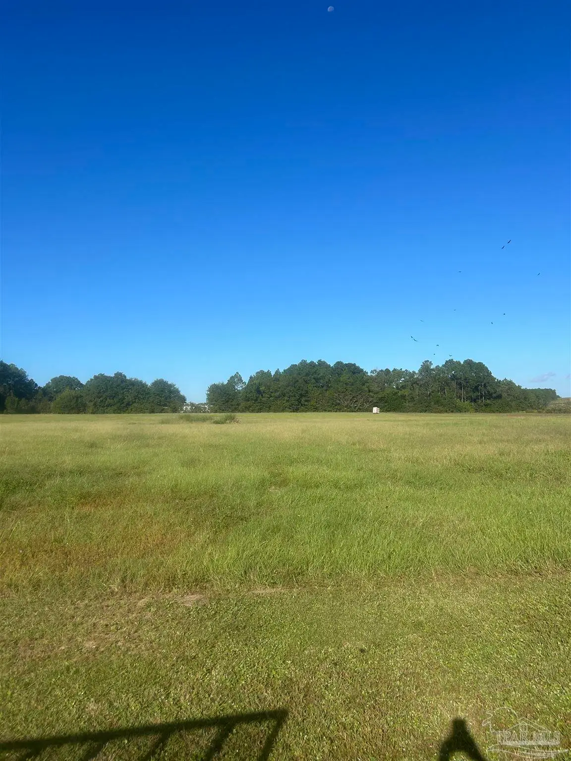 5951 Hwy 97 A, McDavid, FL 32568 - #1