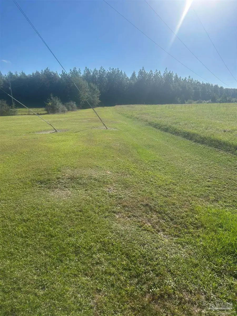 5951 Hwy 97 A, McDavid, FL 32568 - #2