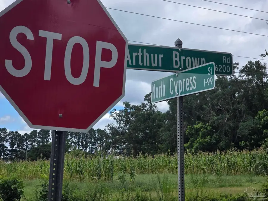 6200 Arthur Brown Rd, Walnut Hill, FL 32568 - #2