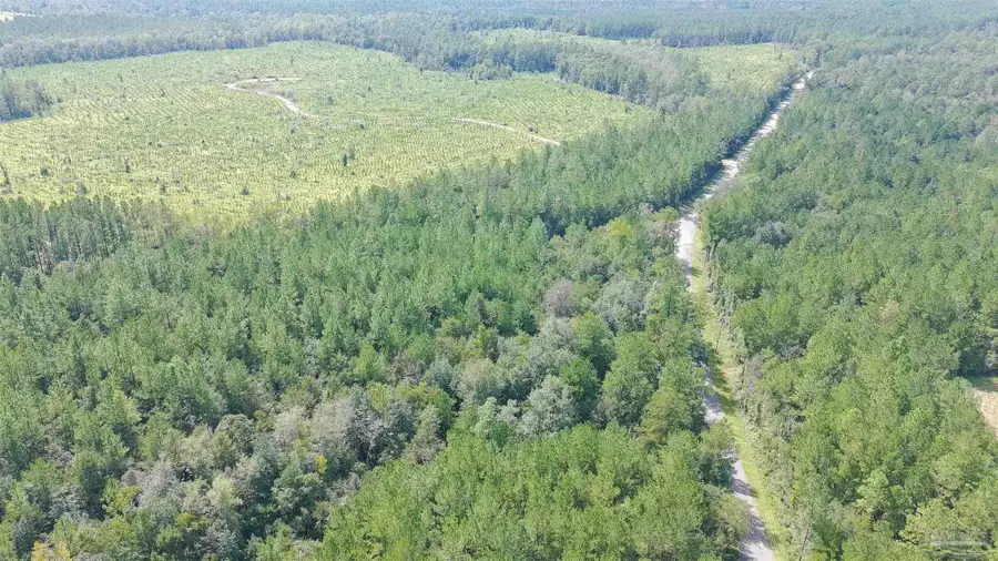 Lot 5 Chumuckla Springs Rd, Jay, FL 32565 - #2