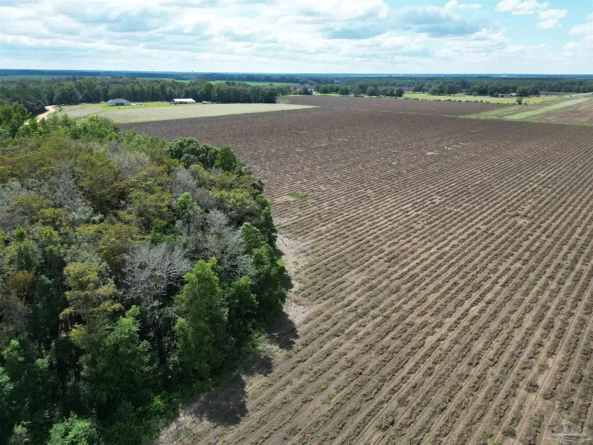 00 Dorriety Cir, Atmore, AL 36502 - #1