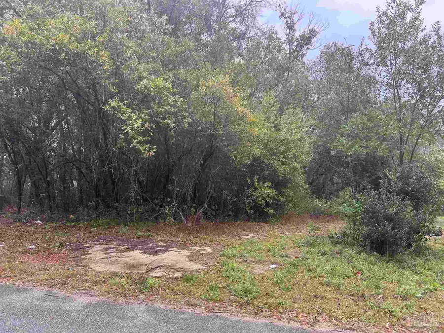 Lot 11, Blk 3 Mcconnell St, Brewton, AL 36426 - #3