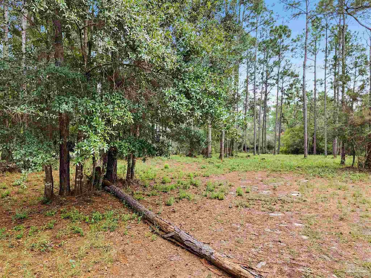 12209 Ailanthus Ct, Pensacola, FL 32506 - #1