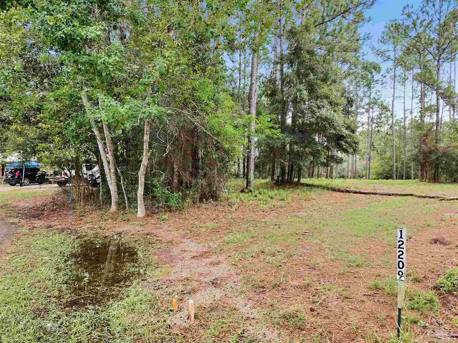 12209 Ailanthus Ct, Pensacola, FL 32506 - #2