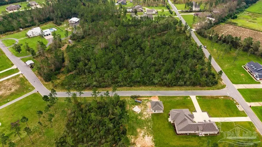 3 ACRES Sage Forest Ln, Pace, FL 32571 - #2