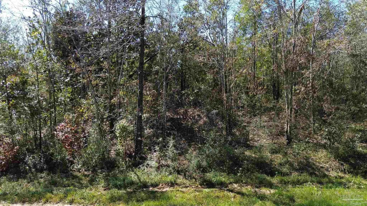 Lot 7a Pineview Church Rd, Jay, FL 32565 - #1